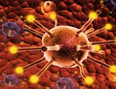 Τρώμε καρκίνο: Μην ξαναφάτε αυτά τα τρόφιμα – Διαβάστε τι δεν πρέπει να βάζουμε στο τραπέζι μας